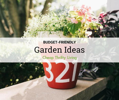 15 Budget-Friendly Garden Ideas 15 Budget-Friendly Garden Ideas