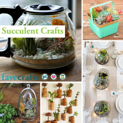 Succulent Crafts Succulent Crafts