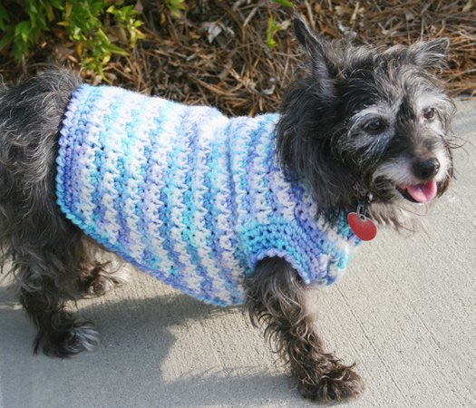 Dog Sweater Crochet Pattern | FaveCrafts.com