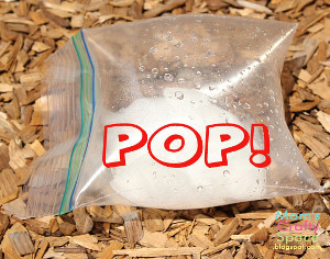 Exploding Science Lesson | AllFreeKidsCrafts.com