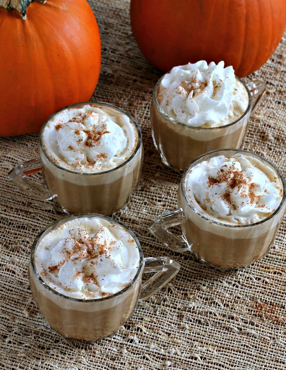 Perfect Pumpkin Spice Lattes | AllFreeSlowCookerRecipes.com