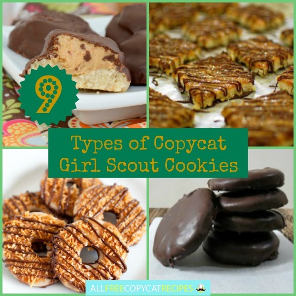 9 Types of Copycat Girl Scout Cookies: Your Favorite Copycat Girl Scout ...