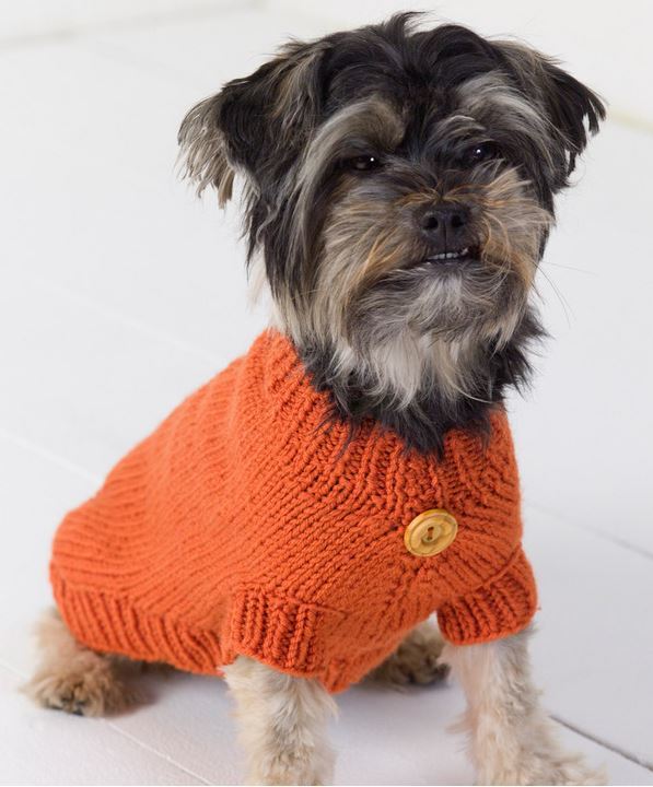 free loom knit dog sweater pattern