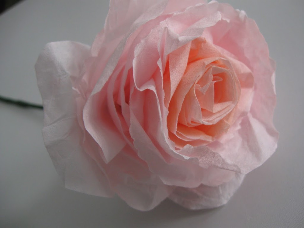 Completely Incredible Coffee Filter Roses