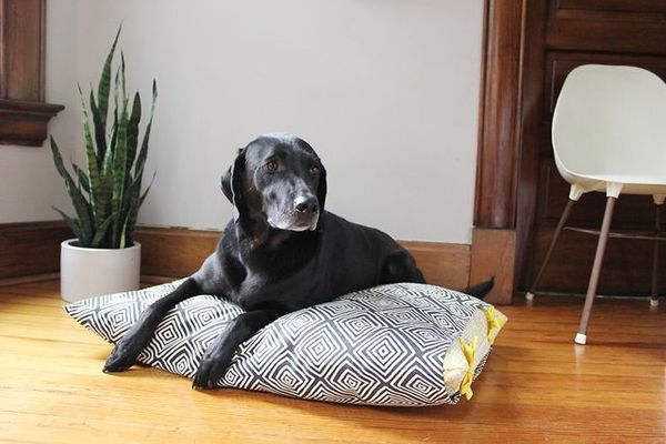 10 Free Dog Bed Patterns Printable Patterns And More AllFreeSewing Com