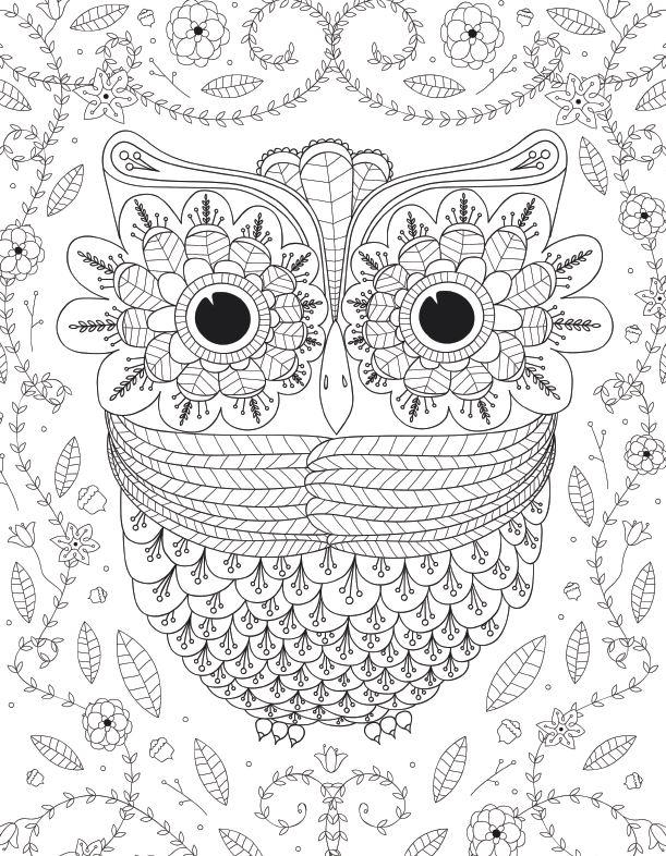 Download Big Eyed Owl Adult Coloring Page | FaveCrafts.com