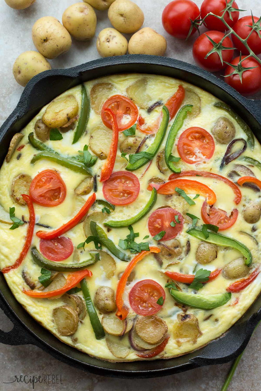 spanish-potato-omelette-recipelion