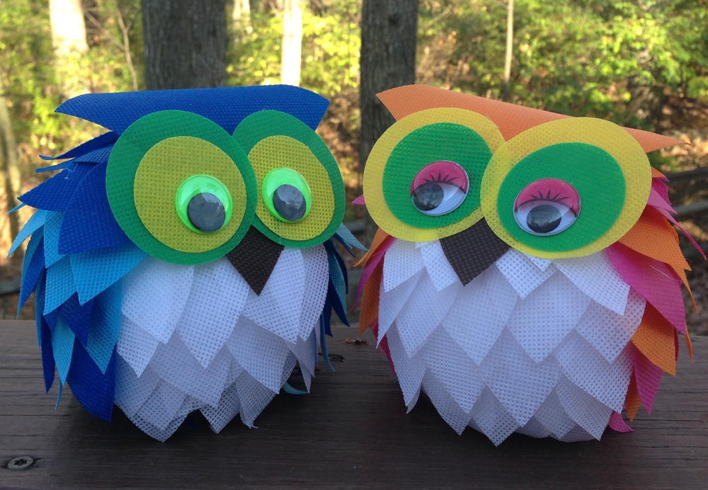 Oly-Fun Owl Craft Idea | FaveCrafts.com