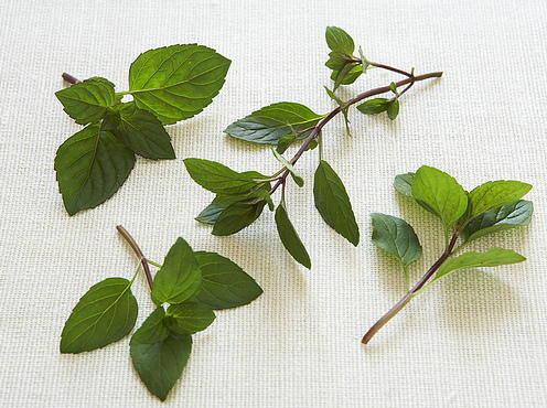 Vietnamese Herb and Salad Plate