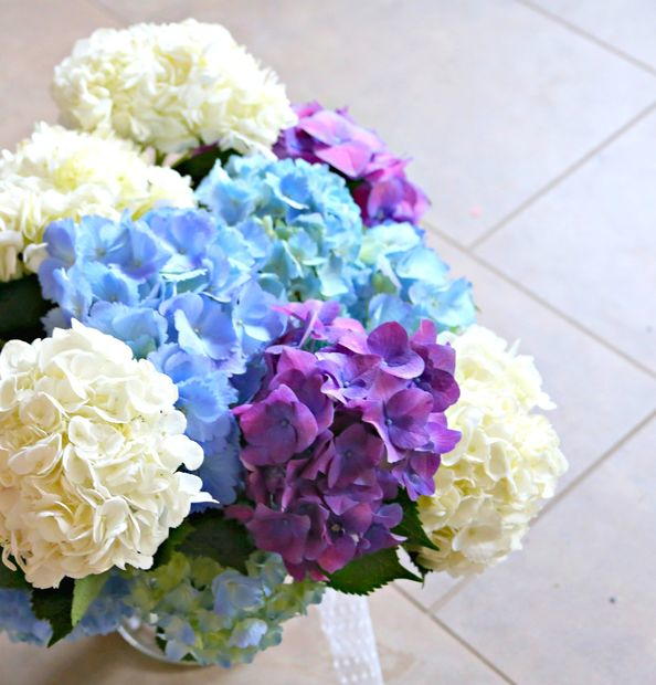 How To Make Flowers Last Longer DIYIdeaCenter how-to-make-flowers-last-longer-diyideacenter