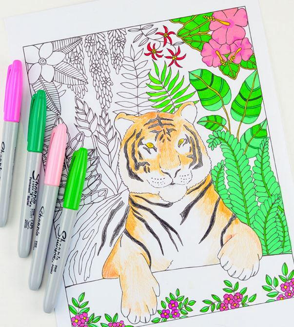 Eye of the Tiger Coloring Page | FaveCrafts.com
