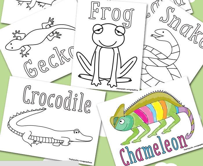 discover reptiles coloring sheets favecraftscom