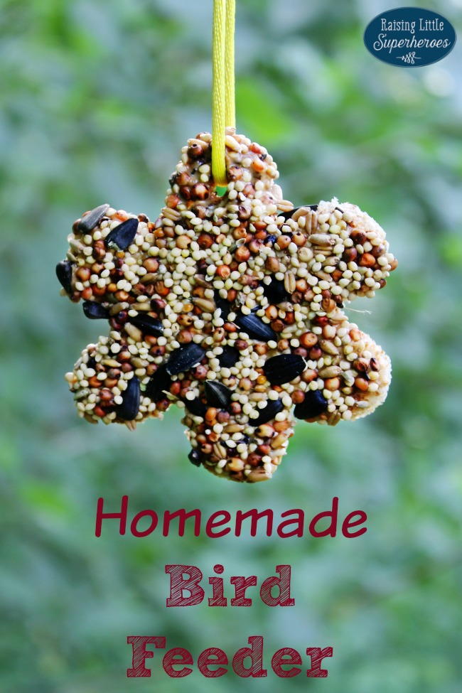 Homemade Bird Feeder | AllFreeKidsCrafts.com