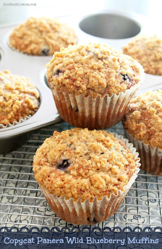 Muffin bread blueberry Copycat Panera Blueberry Muffin Recipe | AllFreeCopycatRecipes.com