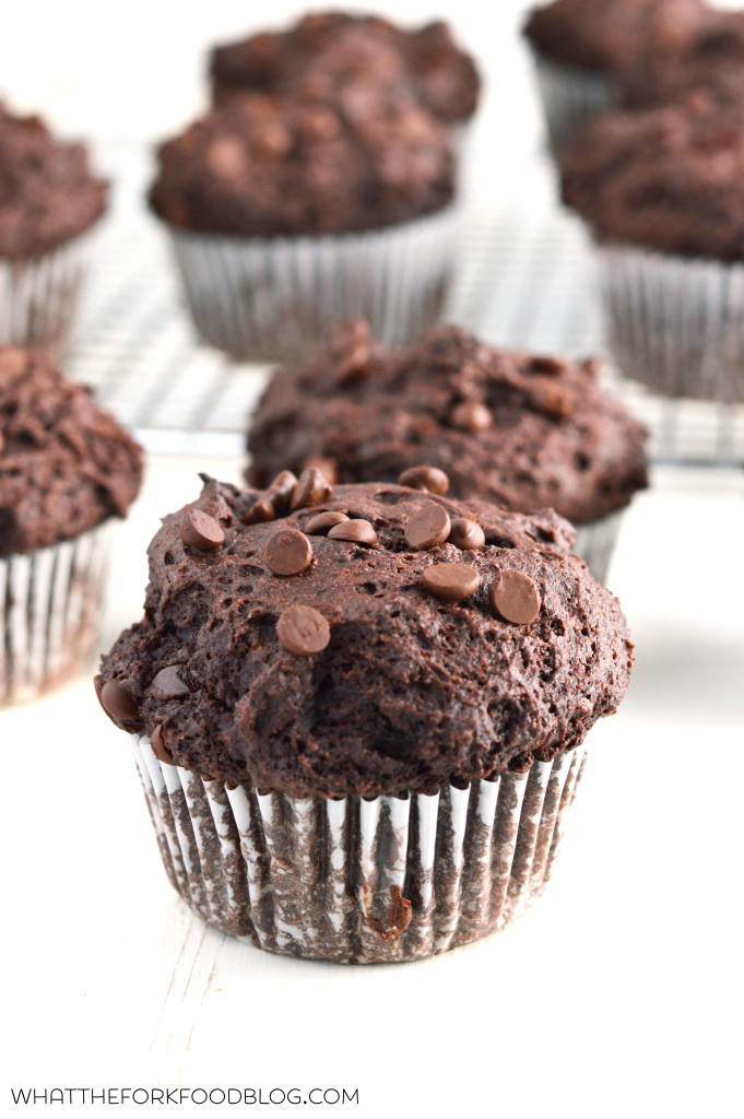bakery-style-double-chocolate-chip-muffins-faveglutenfreerecipes