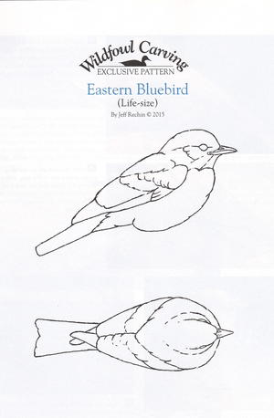 Eastern Bluebird, Part One wildfowl-carving.com