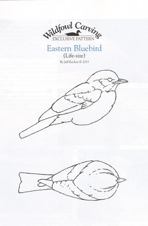 Eastern Bluebird, Part One wildfowl-carving.com Eastern Bluebird, Part One wildfowl-carving.com