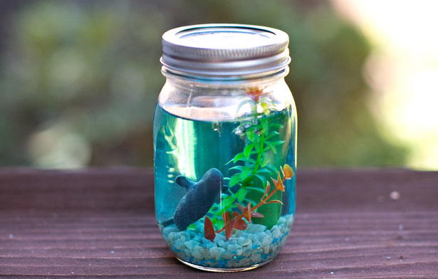 undersea adventure mason jar aquarium allfreekidscrafts.com
