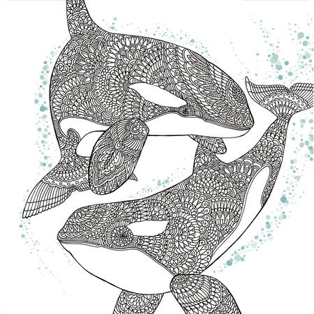 orca whale coloring page favecrafts