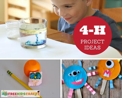4h projects ideas