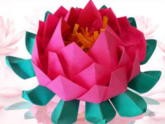 lotus easy origami flower for kids