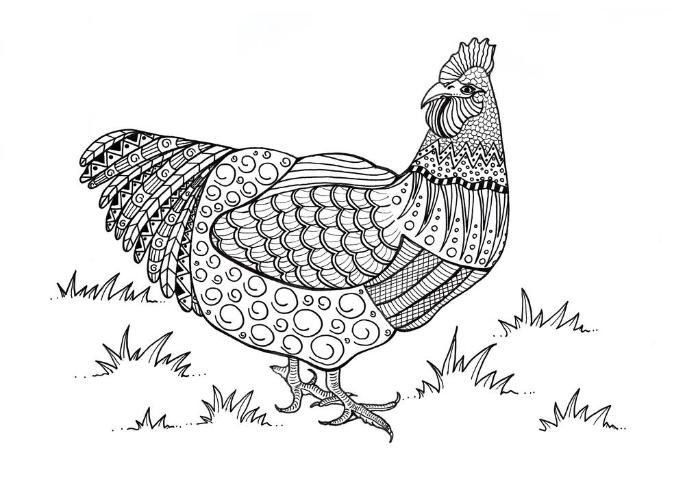 Colorful Chicken Adult Coloring Page FaveCrafts.com Colorful Chicken Adult Coloring Page FaveCrafts.com