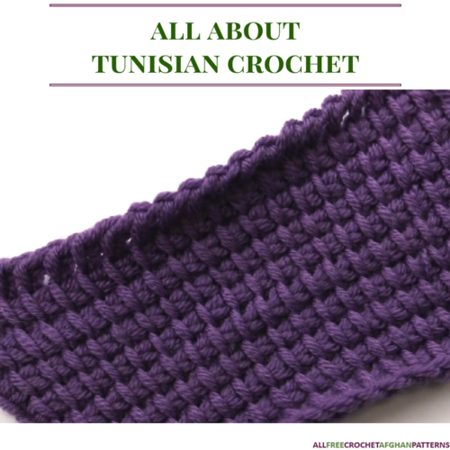 the tunisian crochet handbook a beginner