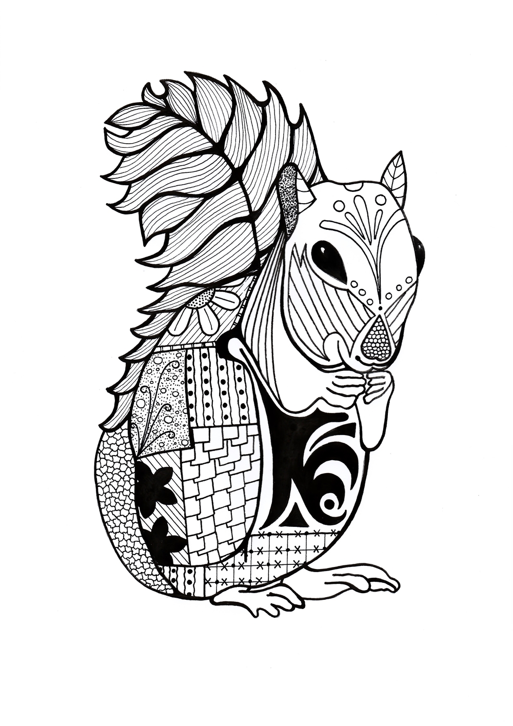 Intricate Squirrel Adult Coloring Page | FaveCrafts.com