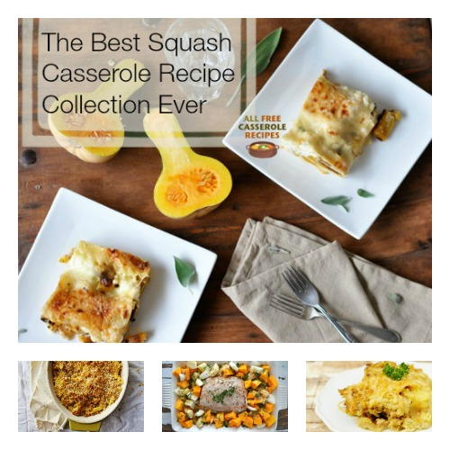 best acorn squash casserole recipe ever