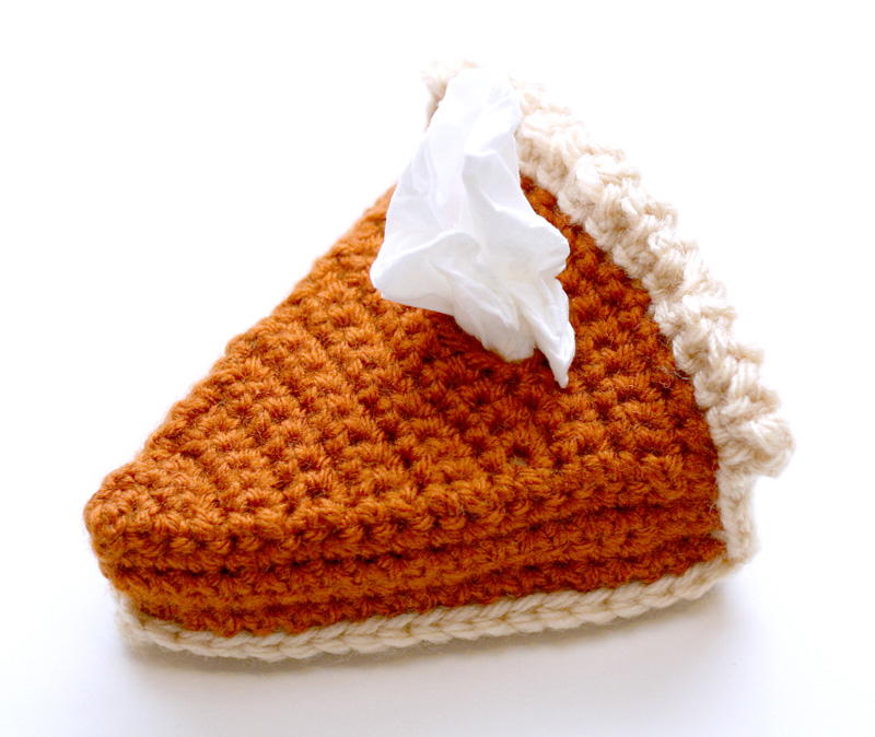 Pumpkin Pie Crochet Tissue Cozy | AllFreeCrochet.com