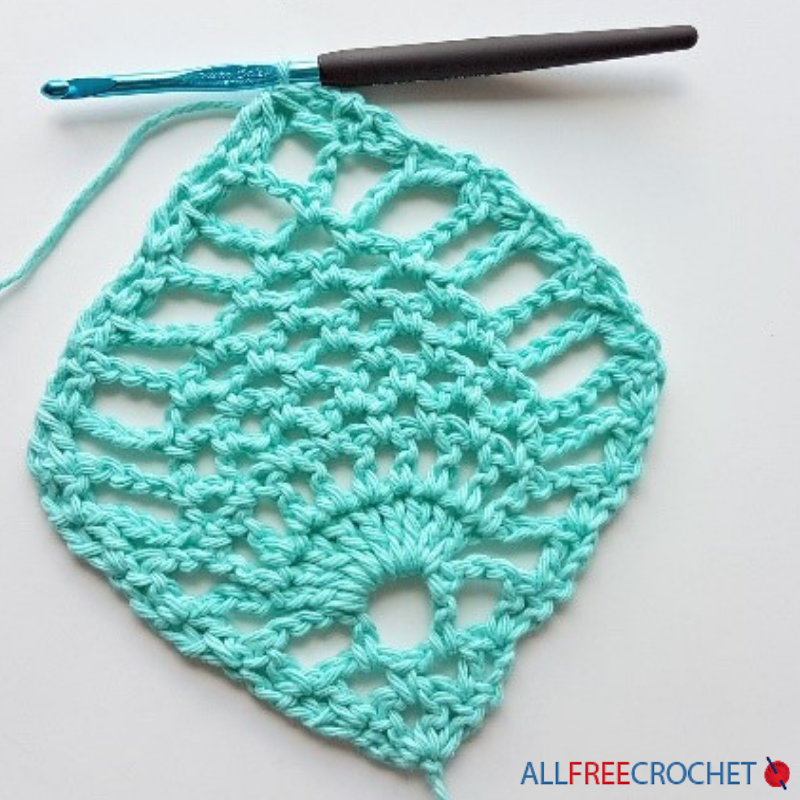 Crochet Pineapple Stitch Tutorial | AllFreeCrochet.com